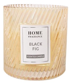 Svece, aromātiskā Home4you Home Fragrance Black Fig, 80 mm x 80 mm