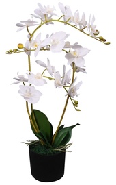 Mākslīgie ziedi puķu podā, orhideja VLX With Pot Orchid, balta, 65 cm