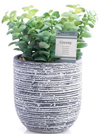 Kunsttaim potis AmeliaHome Artflower Greeny, roheline/hall, 230 mm