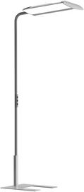 Põrandalamp Biownlight SL-B6-2765-1-ST4G, LED
