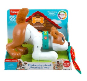 Mänguloom Fisher Price Learning Dog Walk With Me HHH15