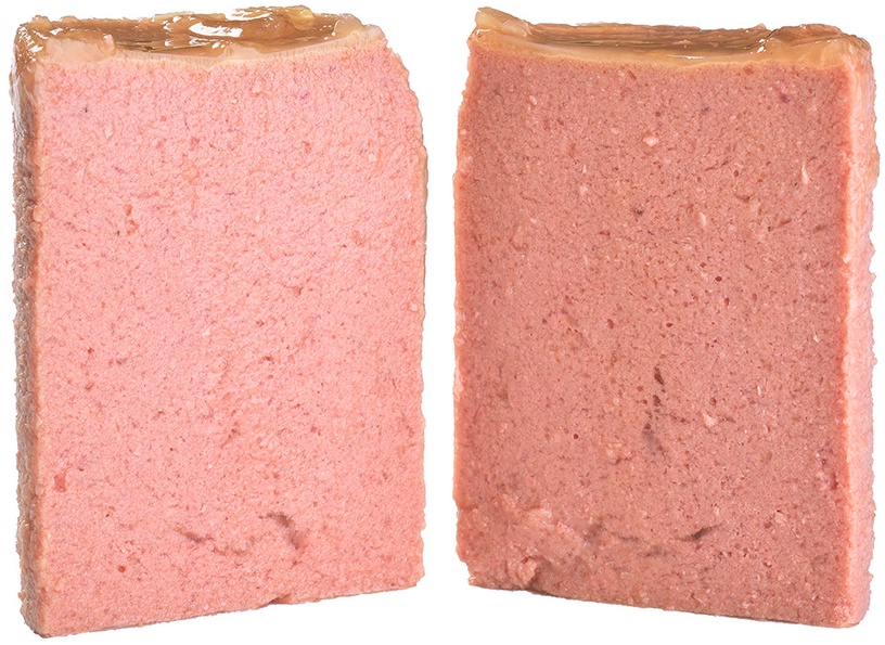 Mitrā barība (konservi) suņiem Brit Mono Protein Turkey, tītara gaļa, 0.4 kg