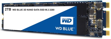 Kietasis diskas (SSD) Western Digital Blue WDS200T2B0B, M.2, 2 TB