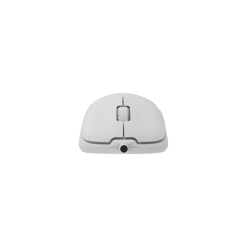 Игровая мышь White Shark GM-5014, белый
