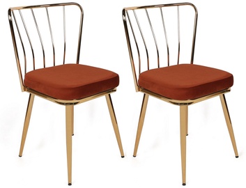 Valgomojo kėdė Kalune Design 925 V2 974NMB1696, blizgi, aukso/raudona, 42 cm x 43 cm x 82 cm, 2 vnt.