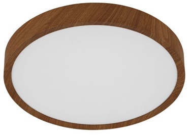Valgustid lagi Eglo Musurita, 5.5 W, LED