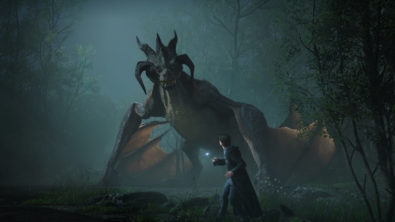 Игра Xbox One WB Games Hogwarts Legacy