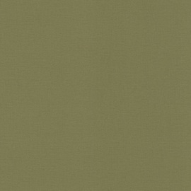 Обои Rasch Salsa 452068, виниловые, зеленый