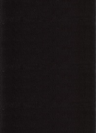 Paklājs iekštelpu Catwalk 2003002600, melna, 300 cm x 200 cm