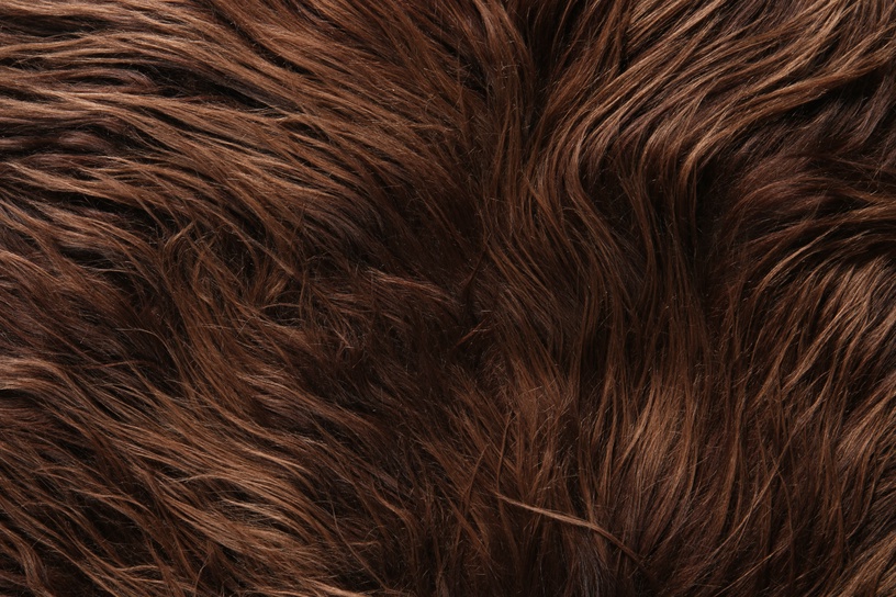 Kažoks Icelandic Longwool, 900 mm x 600 mm