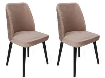 Ēdamistabas krēsls Kalune Design Tutku 304 V2 974NMB1684, matēts, melna/bēša, 49 cm x 50 cm x 90 cm, 2 gab.