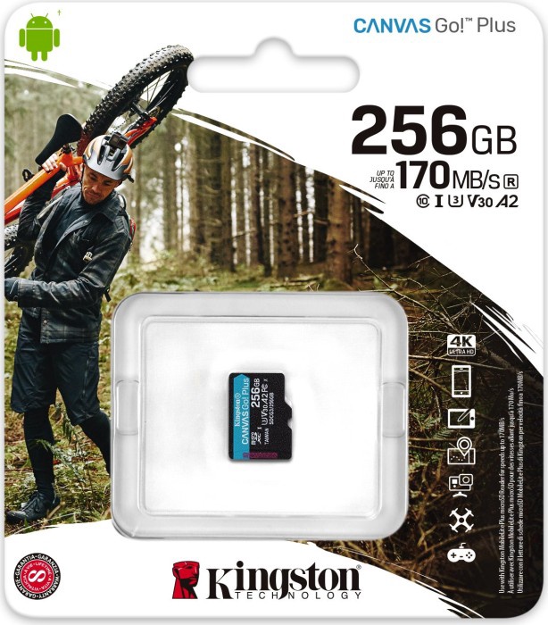 Mälukaart Kingston SDCG3 SDCG3/64GBSP, 256 GB, 170 Mb/s - 90 Mb/s