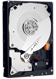Kietasis diskas (HDD) Dell G7X69, 3.5", 1 TB