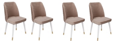 Ēdamistabas krēsls Kalune Design Hugo 404 974NMB1601, spīdīga, zelta/balta/bēša, 49 cm x 50 cm x 90 cm, 4 gab.