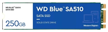 Kietasis diskas (SSD) Western Digital Blue SA510, 1.8", 250 GB