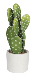 Искусственное растение в горшке, кактус Splendid Cactus, белый/зеленый, 24 см