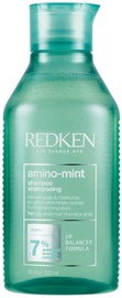 Šampūnas Redken Amino Mint, 300 ml