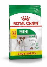Koera kuivtoit Royal Canin SHN Mini Adult 8+1kg