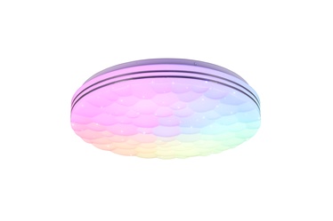 Valgust plafoon Reality Tiger R67131100, 22 W, LED, 2700 - 6000 °K