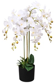 Kunstlilled vaasis VLX Orchid, valge