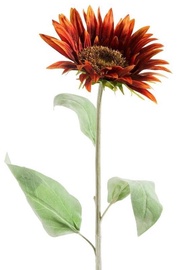 Dirbtinė gėlė Eurofirany Natu 406, ruda, 74 cm