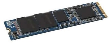 Жесткий диск (SSD) Dell AA61 AA615519, 1.8", 256 GB