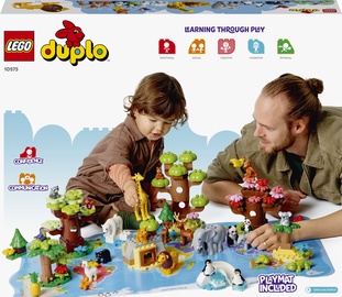 Конструктор LEGO Duplo Laukiniai pasaulio gyvūnai 10975