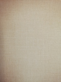 Veltņu aizkari Domoletti Melange 5, bēša, 800 mm x 1850 mm
