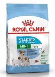 Sausā suņu barība Royal Canin Mini Starter Starter Mother & Babydog Mini, mājputnu gaļa, 8 kg