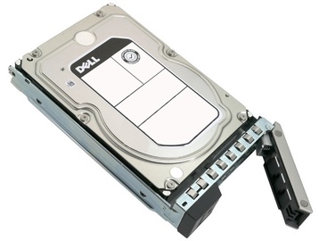 Kietasis diskas (HDD) Dell 400-ASHY, 3.5", 4 TB