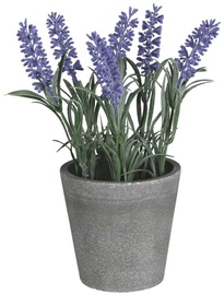 Dirbtinis augalas vazone, levanda Splendid Lavender 2, žalia/pilka/violetinė, 21 cm