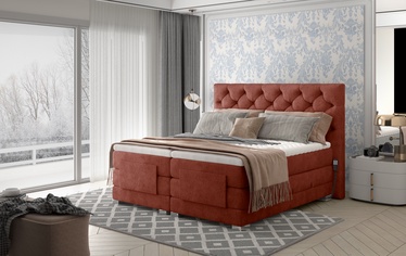 Кровать двухместная континентальная Clover Dora 63, 160 x 200 cm, коричневый/oранжевый, с матрасом