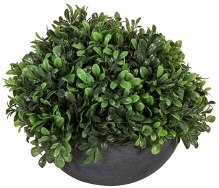 Dirbtinis augalas vazone Home4you, žalia/pilka, 25 cm
