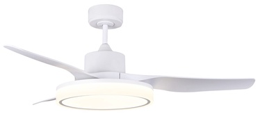 Griestu ventilators ar lampu CristalRecord Aran, 36 W, 1 gab.