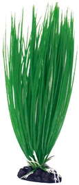 Декорация Croci Acorus MD A8011934