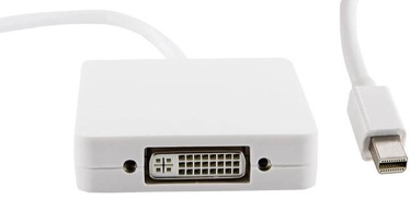Adapteris 4World Mini Display port male, DVI / Display Port / HDMI female