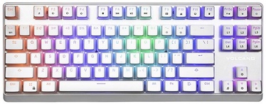 Klaviatūra Modecom RGB Pudding Edition White Outemu Blue EN, balta