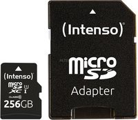 Mälukaart Intenso Performance, 256 GB