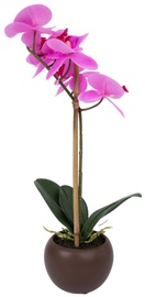 Искусственные цветы в вазоне oрхидея Home4you, коричневый/фиолетовый, 460 мм