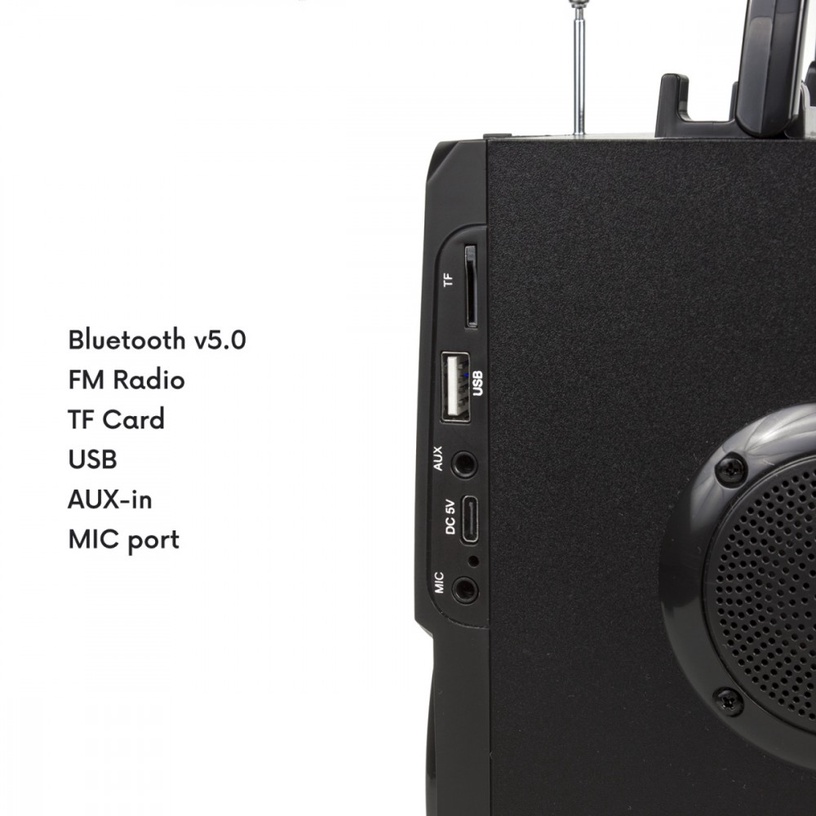 Juhtmevaba kõlar Audiocore AC730, must, 11 W
