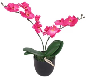 Mākslīgie ziedi puķu podā, orhideja VLX With Pot Orchid, sarkana/zaļa, 30 cm