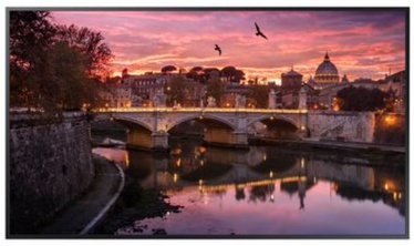 Televiisor Samsung QB55R-B, LED, 55 "