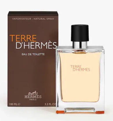 Tualetes ūdens Hermes Terre D Hermes, 100 ml