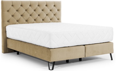 Кровать двухместная континентальная Cortina Nube 20, 140 x 200 cm, светло-коричневый, с матрасом