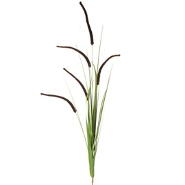 Искусственное растение Eurofirany Natu 359, коричневый/зеленый, 53 см