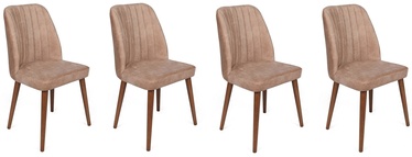 Ēdamistabas krēsls Kalune Design Alfa 463 V4 974NMB1561, matēts, bēša/valriekstu, 49 cm x 50 cm x 90 cm, 4 gab.