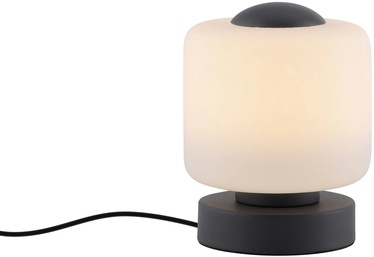 Galda lampa Paul Neuhaus Bota 4037-13, LED, brīvi stāvošs, 5W