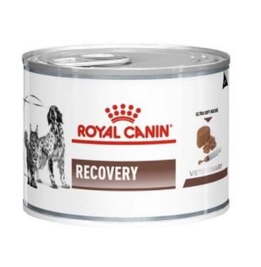 Mitrā barība (konservi) suņiem Royal Canin Recovery, cūkgaļa, 0.19 kg