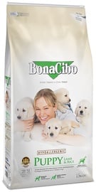 Sausā suņu barība BonaCibo Hypoallergenic Puppy, jēra gaļa/rīsi, 15 kg