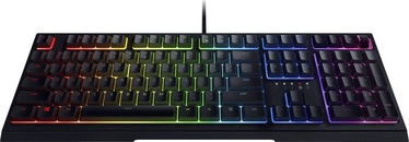 Клавиатура Razer Ornata V2 Английский (US), черный